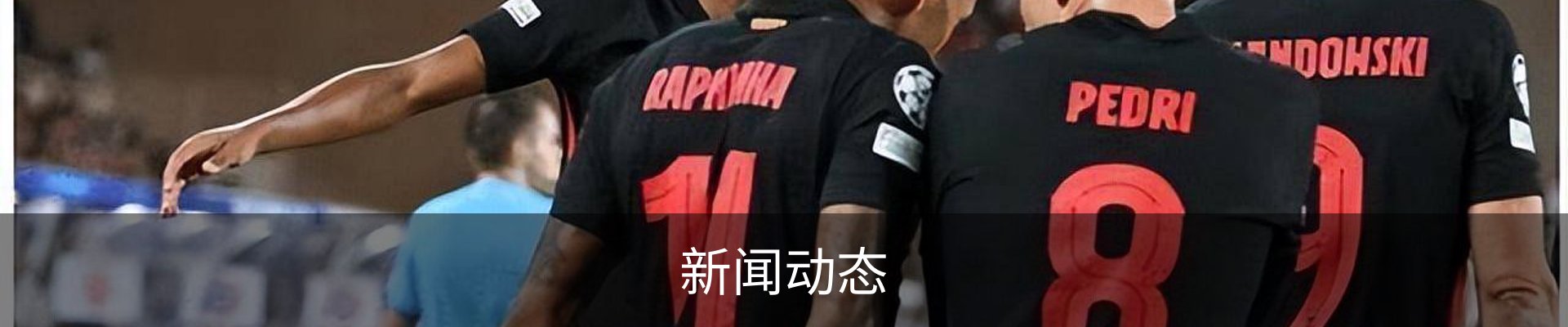 新闻动态
