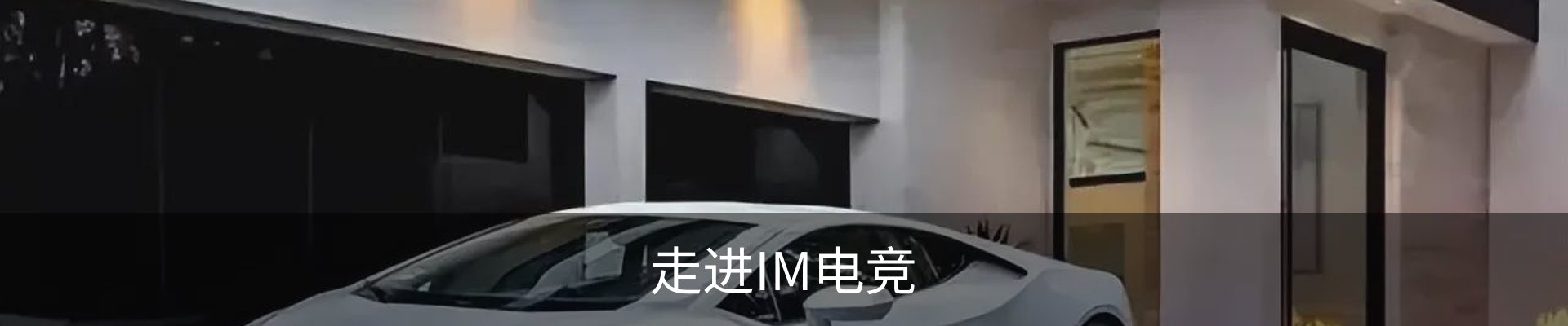 走进IM电竞